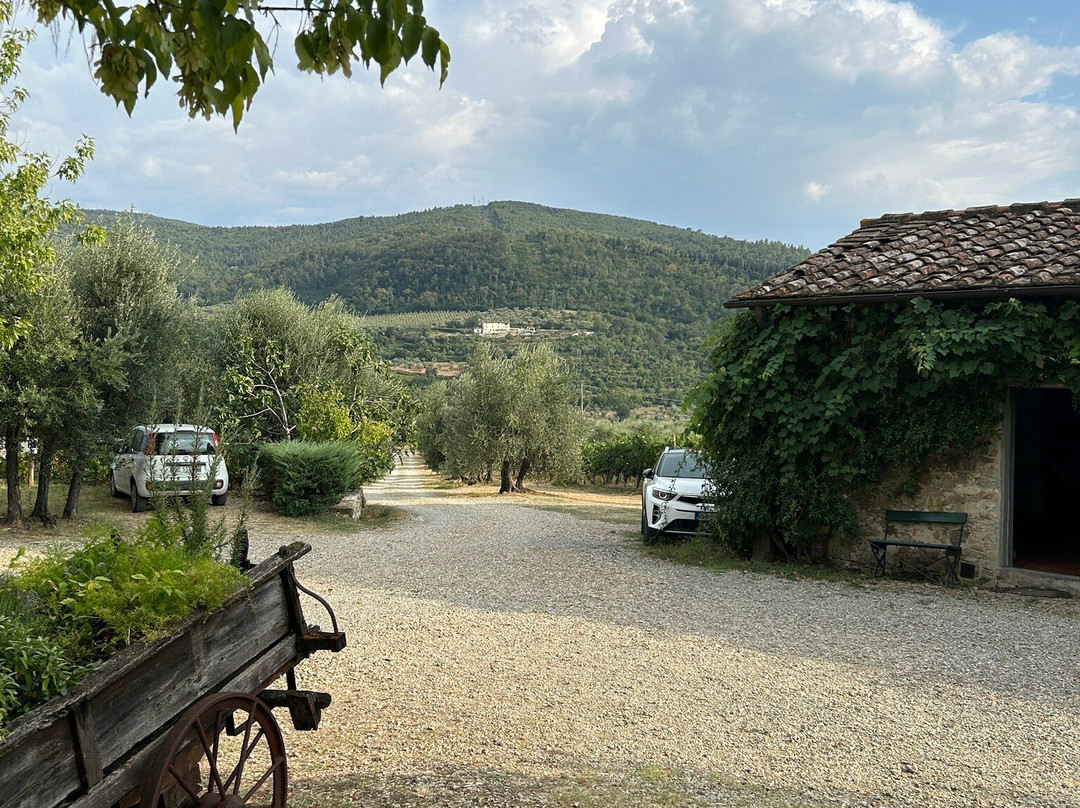 Fattoria di Poggiopiano主图