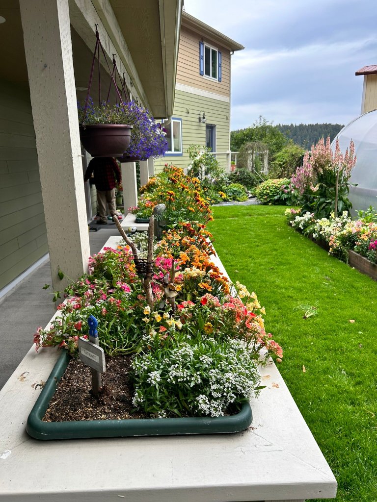 Cliff House B&B-官方