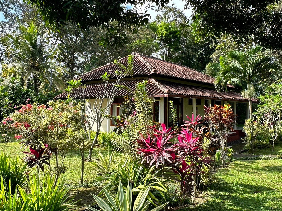 Guesthouse Rumah Senang主图