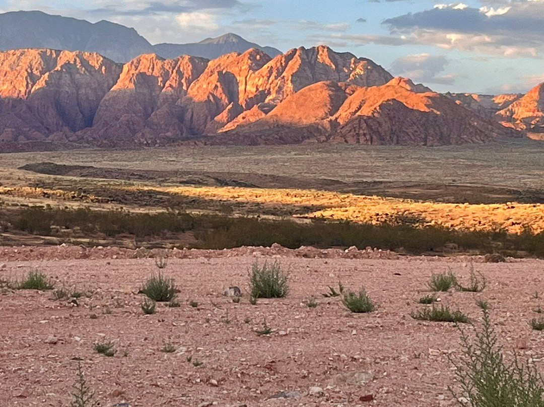 SpringHill Suites St. George Washington主图