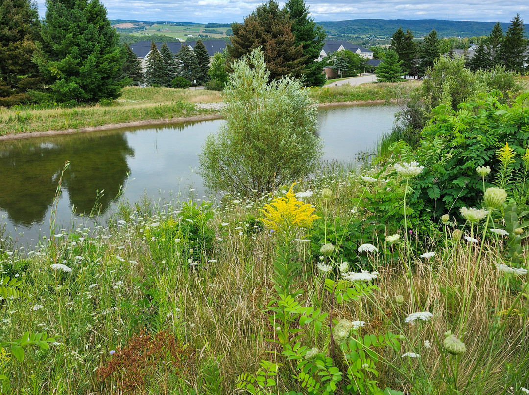 Courtyard by Marriott St. Joseph Benton Harbor主图