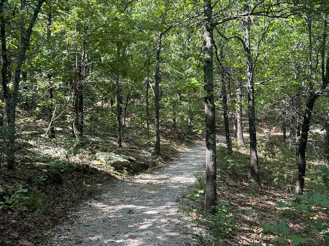 Keystone Ancient Forest-Sand Springs必去景点