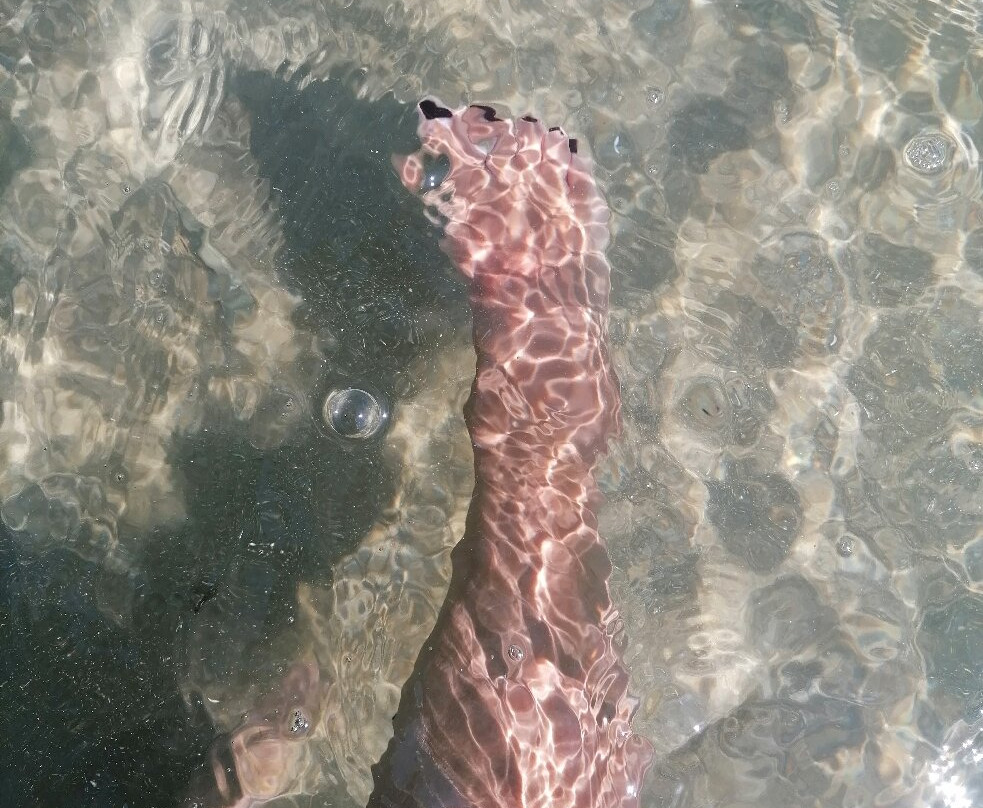 Bed and Breakfast da Salvatore主图