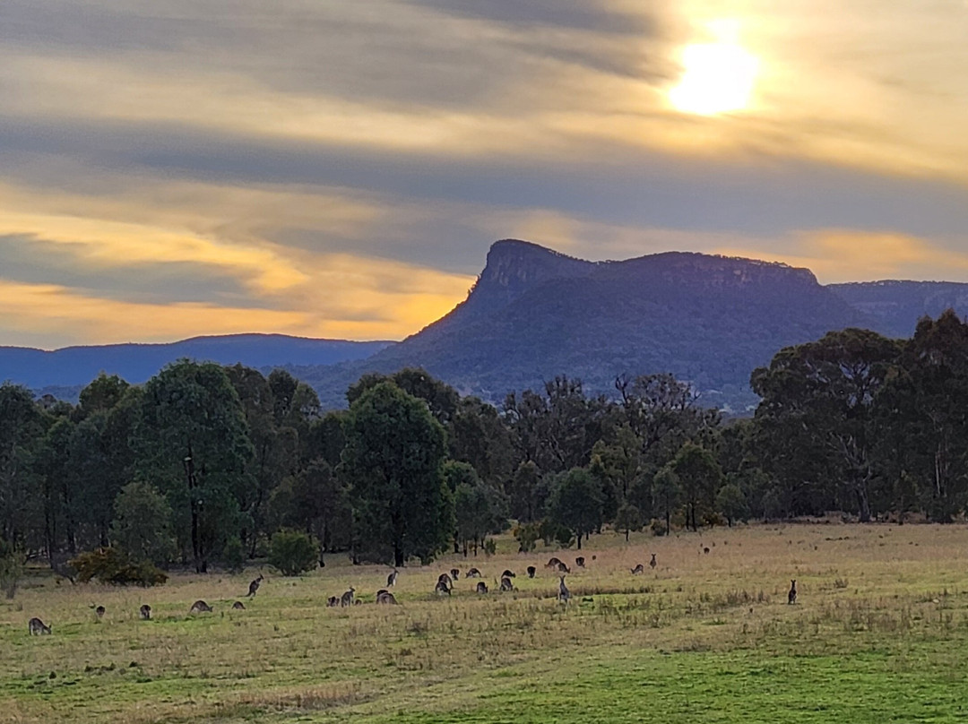 Belle Bois, Capertee Valley主图