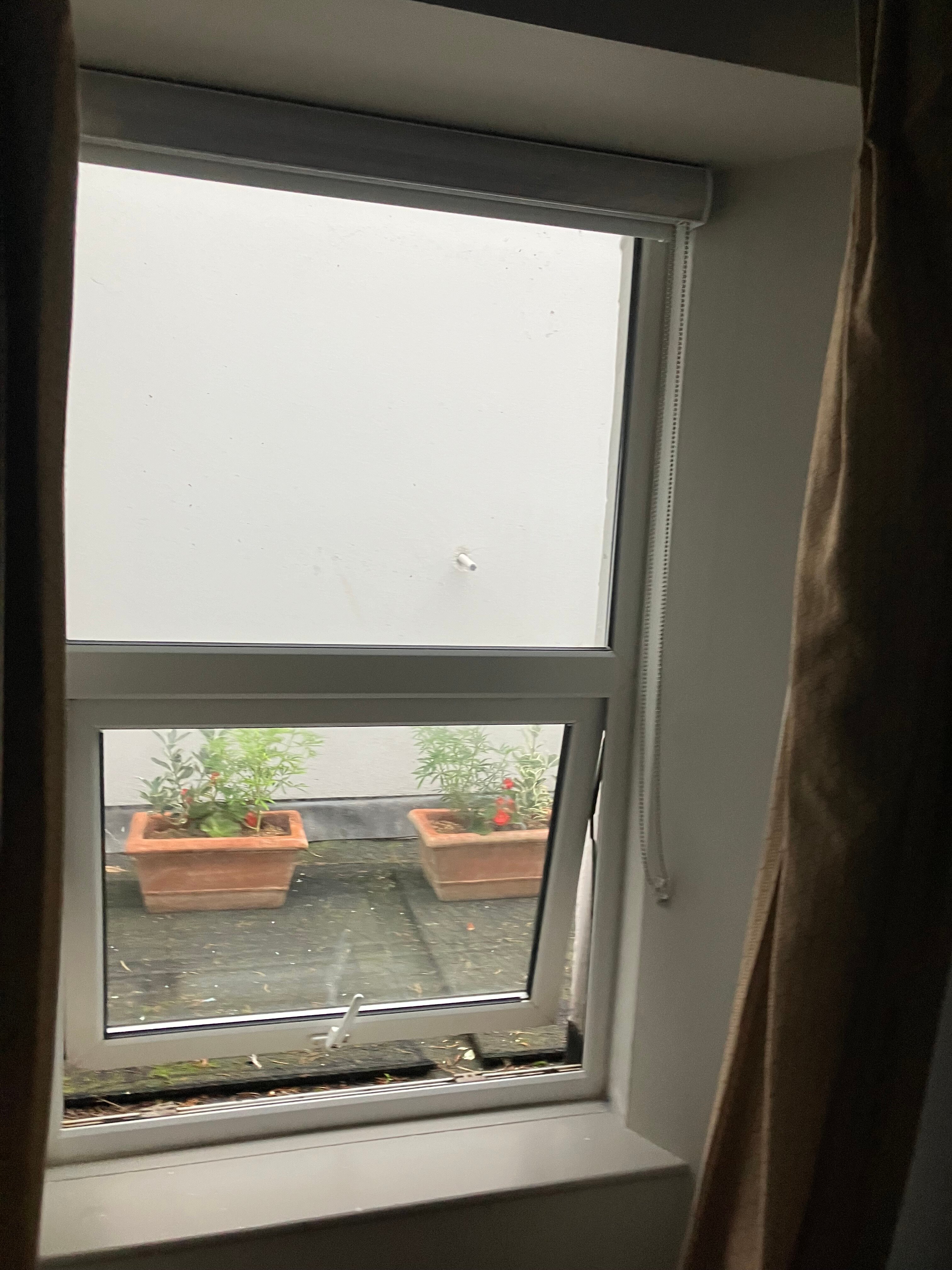 The Inn on the Shore-酒店景观