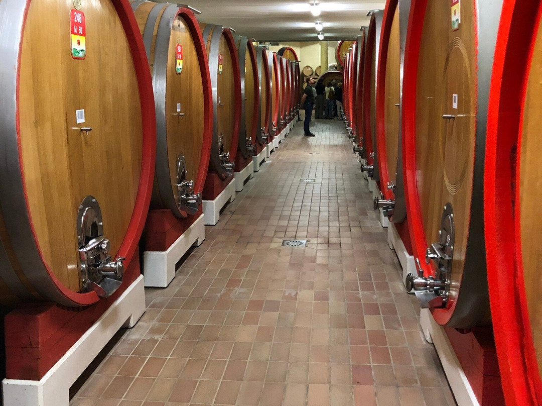 Cantina Valpolicella Negrar-维罗纳必去景点