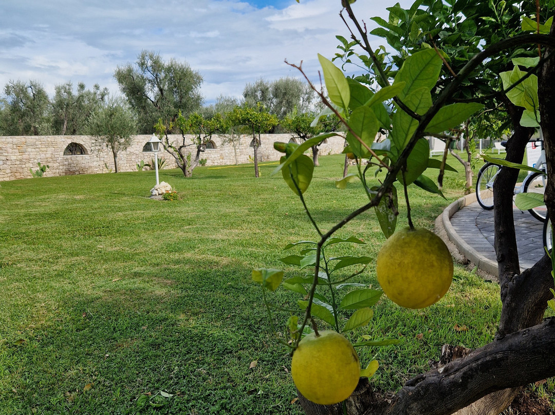 Hotel Puglia Garden主图