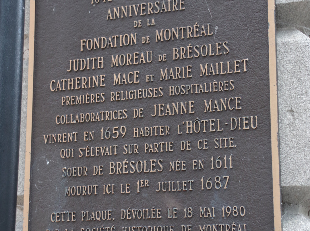 Rue Notre-Dame-蒙特利尔必去景点