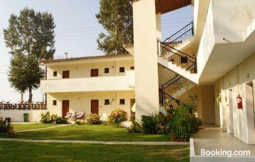 Palatino Studios主图