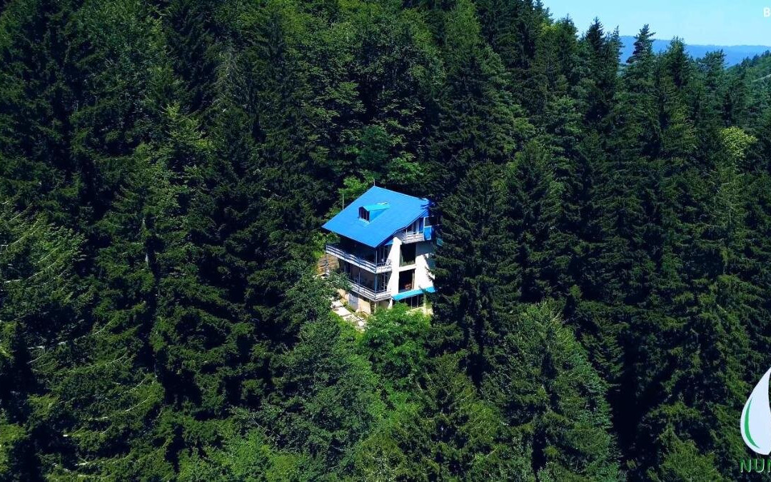 Nunisi Forest Hotel & Spa主图