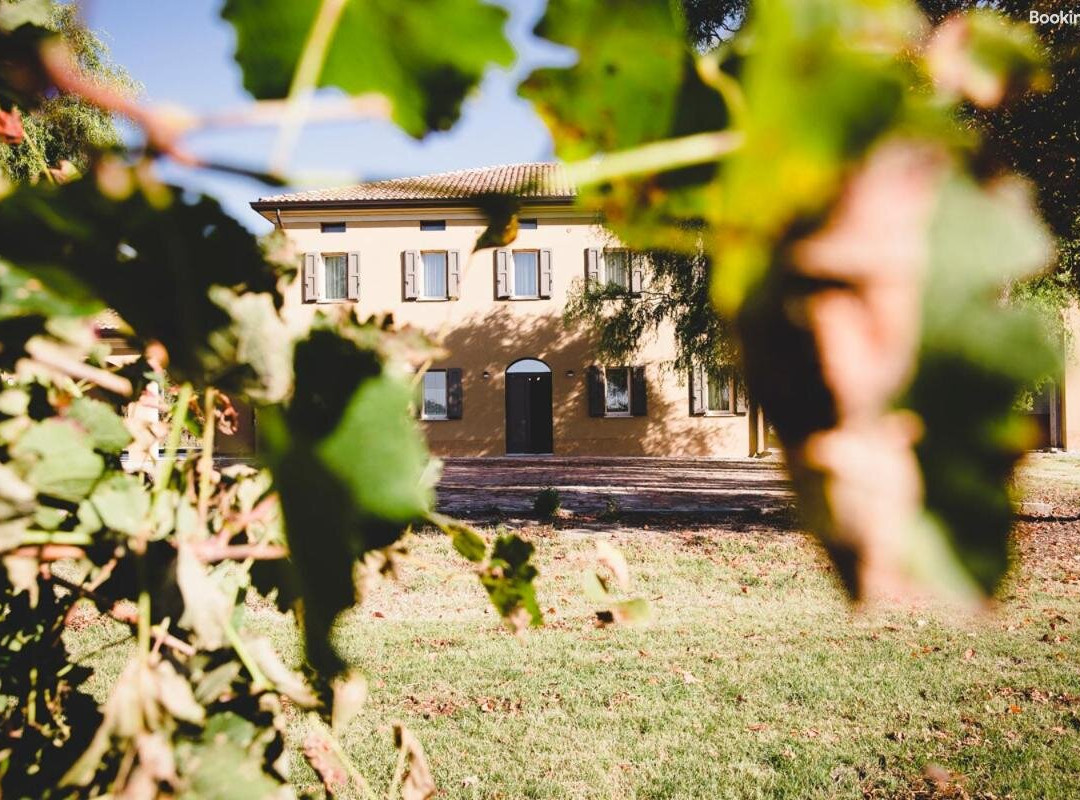 Agriturismo Vitae主图