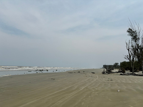 Dunas do Araçá-Ilha Comprida必去景点