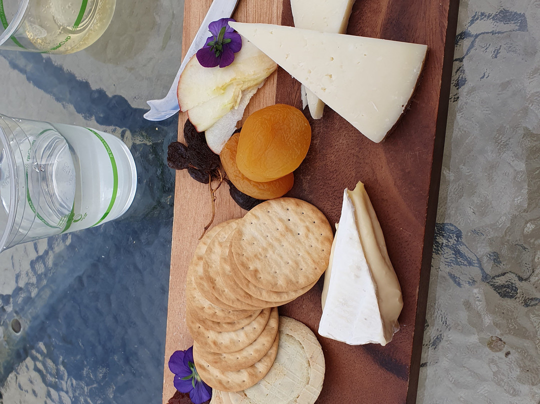 Adelaide Metro Free City Connector Bus and Tram-阿德莱德必去景点