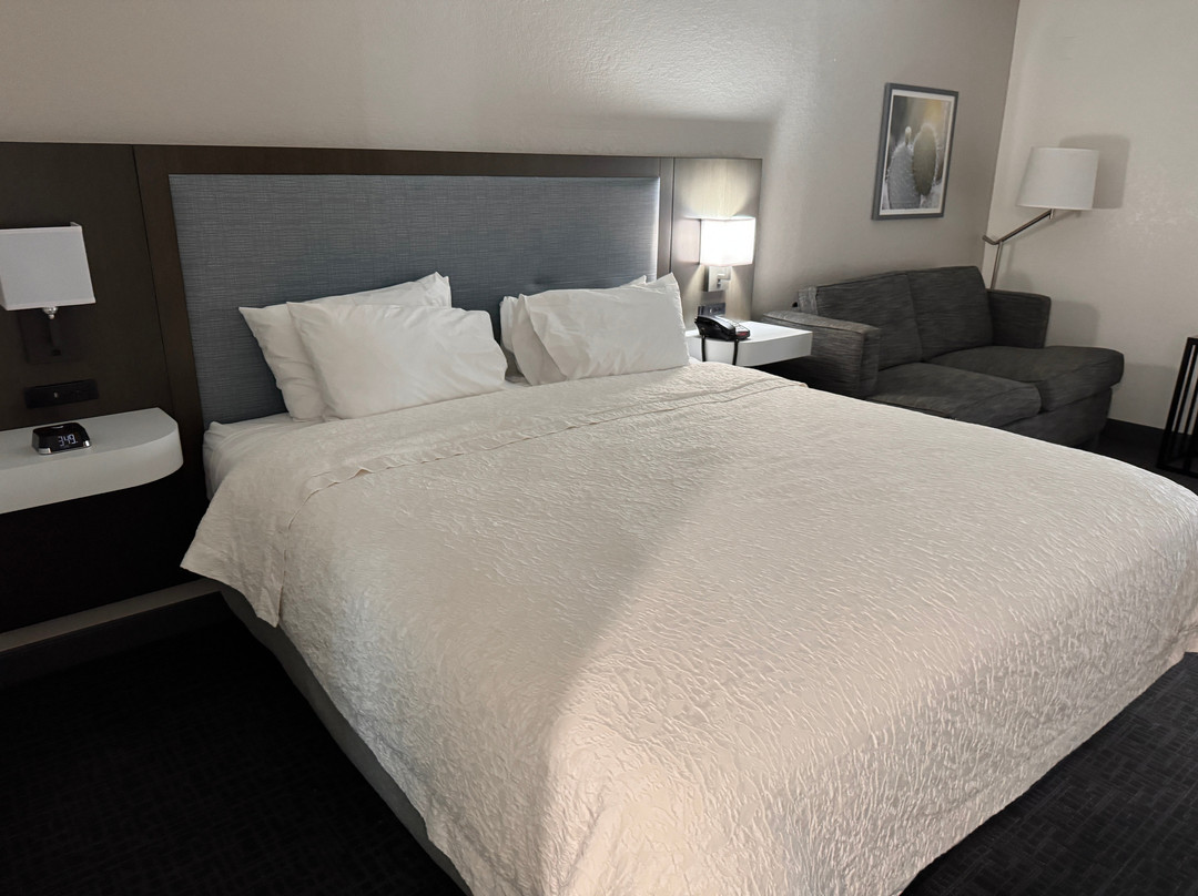 Hampton Inn Kerrville主图