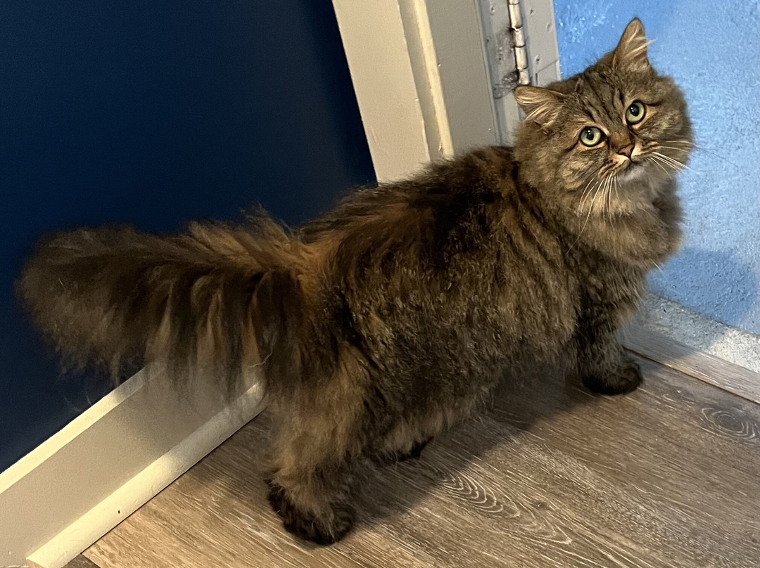 The Tern Inn Bed & Breakfast主图