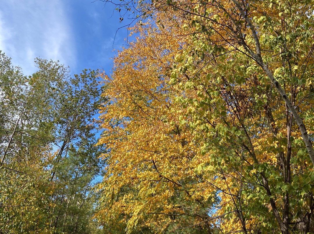 Rosehaven Inn Bed and Breakfast主图