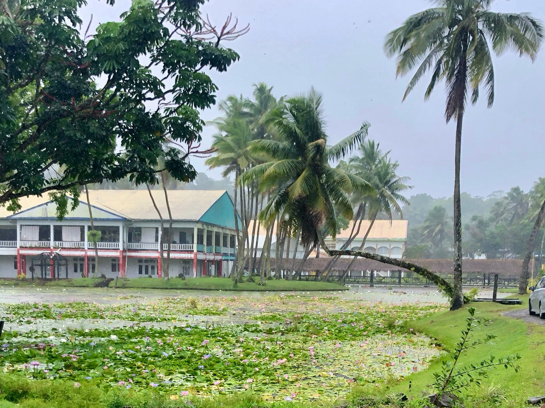 Arts Village-太平洋港必去景点