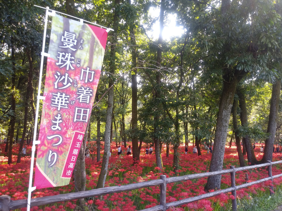 Kinchakuda Manjushage Park-日高市必去景点
