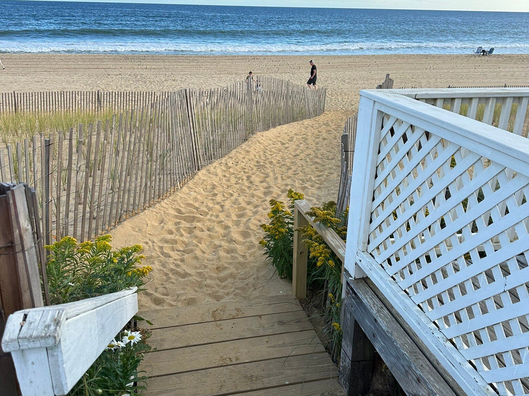 Ocean Surf Resort主图