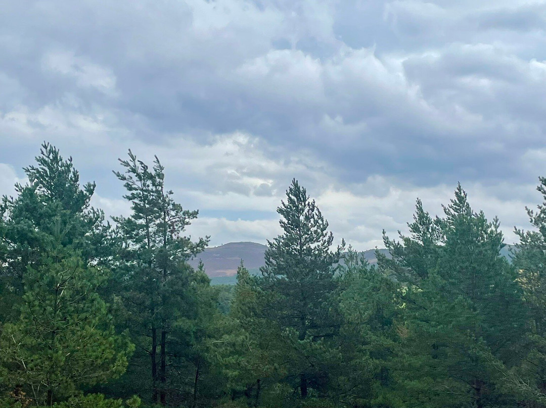 Prince Alberts Cairn-Crathie必去景点