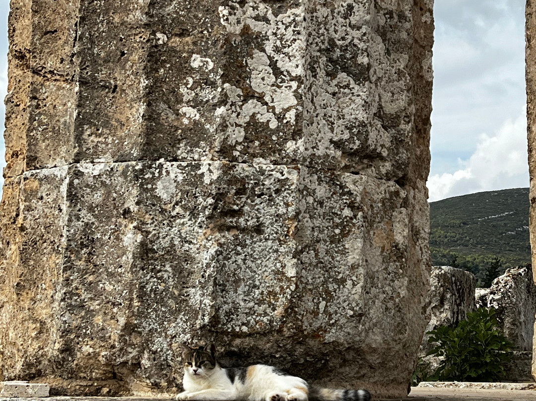 Ancient Nemea-Nemea必去景点