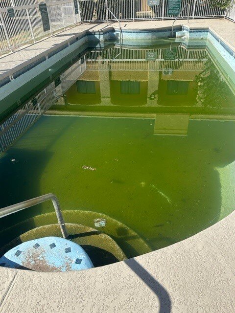 La Quinta Inn by Wyndham Las Cruces Mesilla Valley-泳池