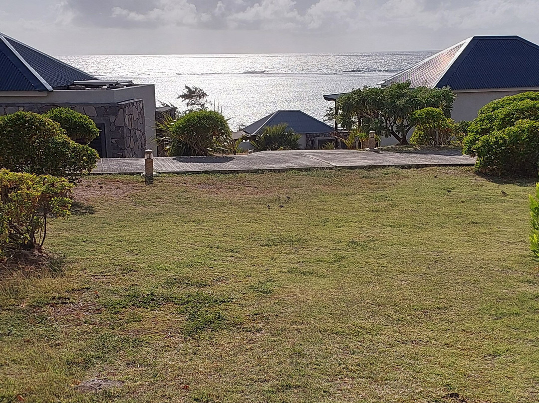 Constance Tekoma主图