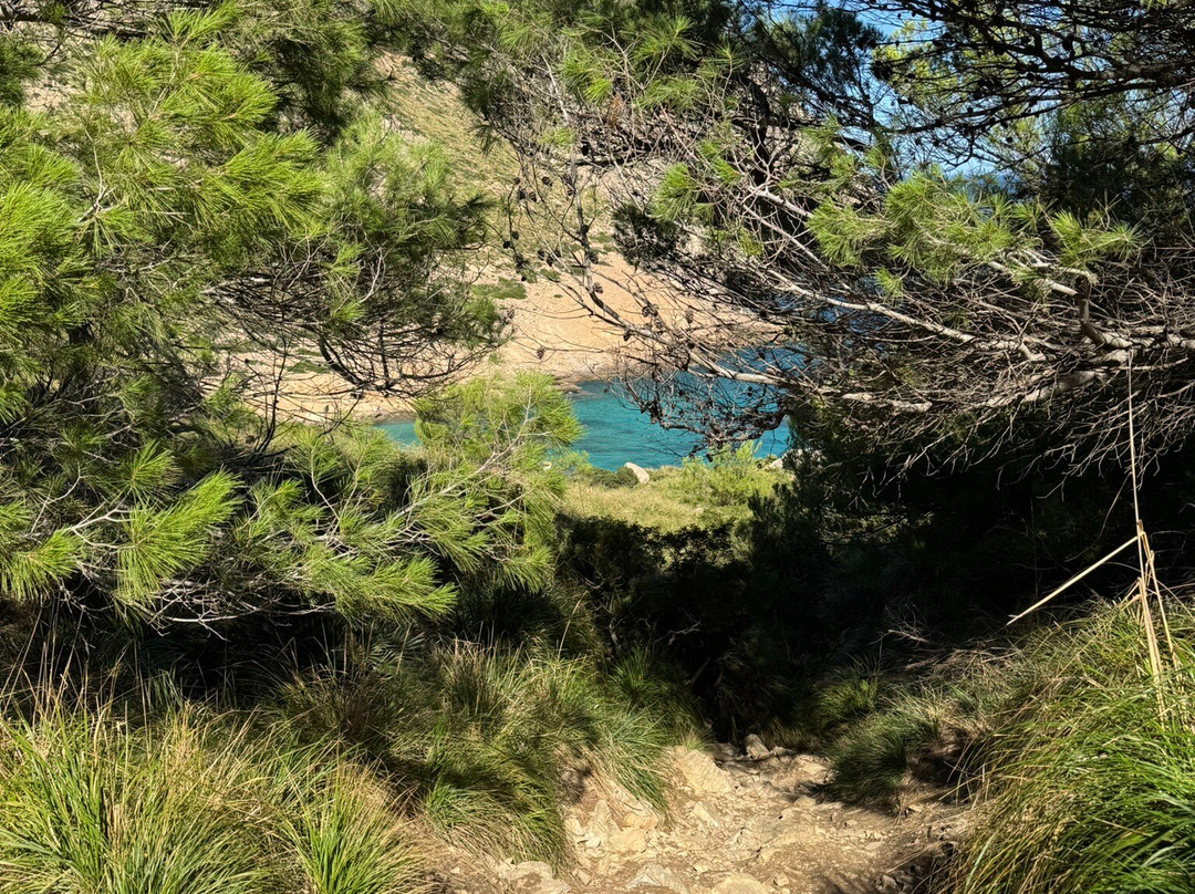 Platja Cala Figuera-马洛卡帕尔马必去景点