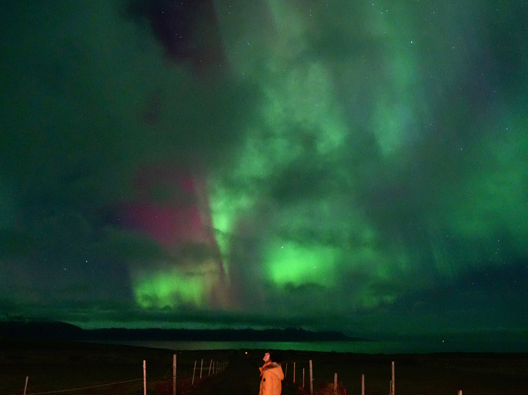 Saltvik Farm Guesthouse主图