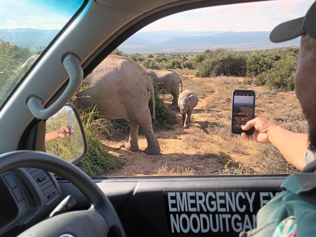 Addo Ventures Guided Safaris-伊丽莎白港必去景点