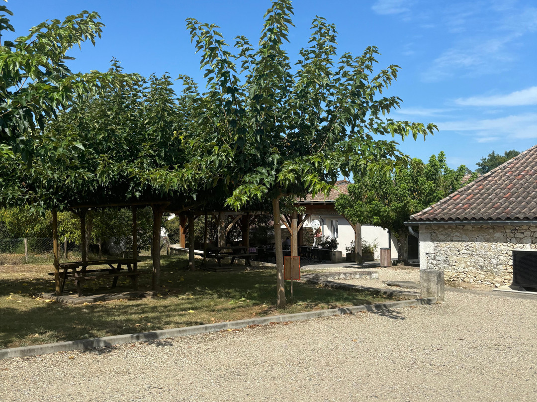 Bergerac Wine Tours景点图片