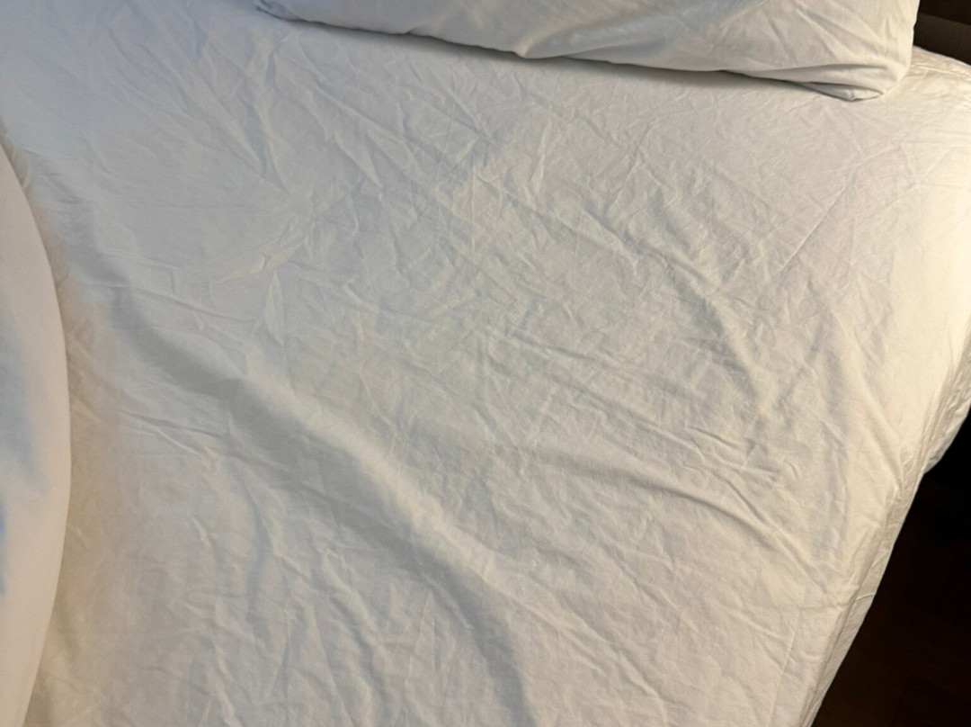 Red Roof Inn & Suites Dover Downtown主图