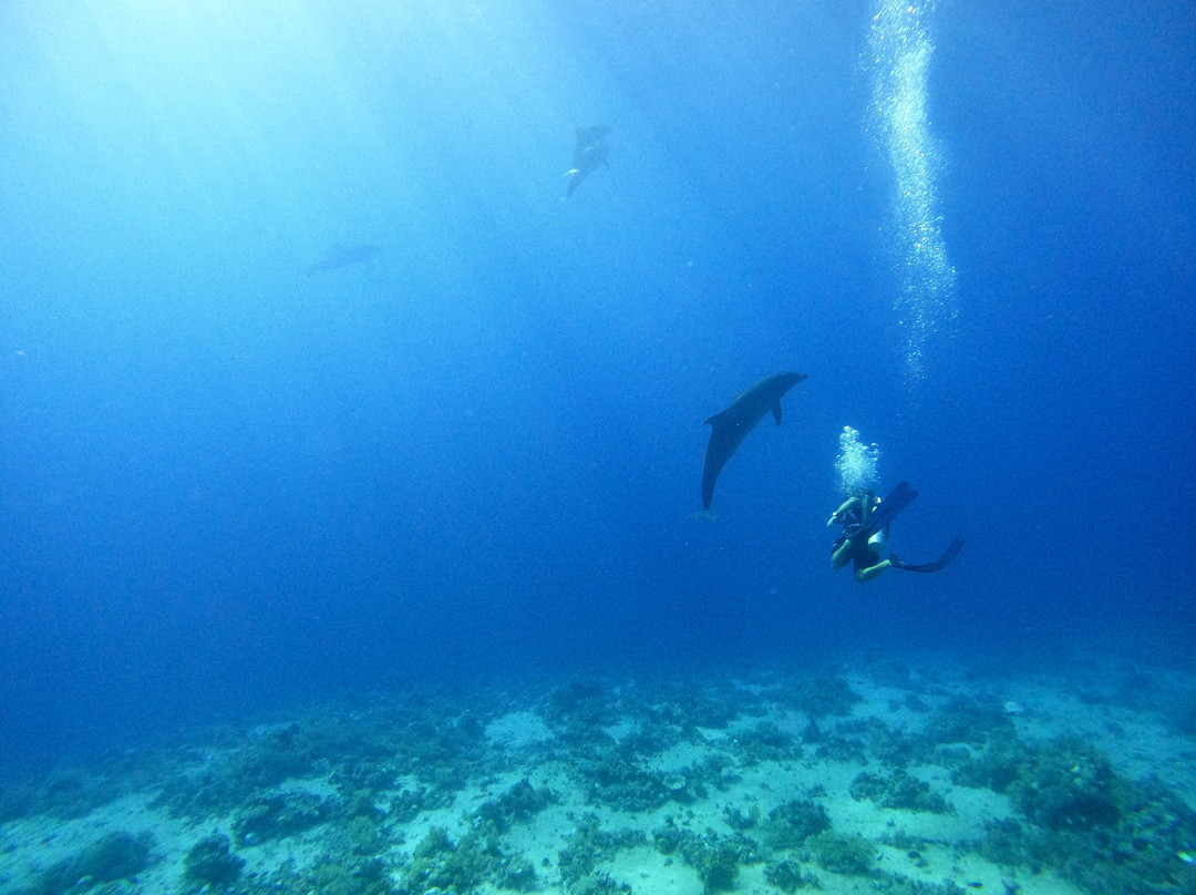 Sharm Scuba Service-沙姆沙伊赫必去景点