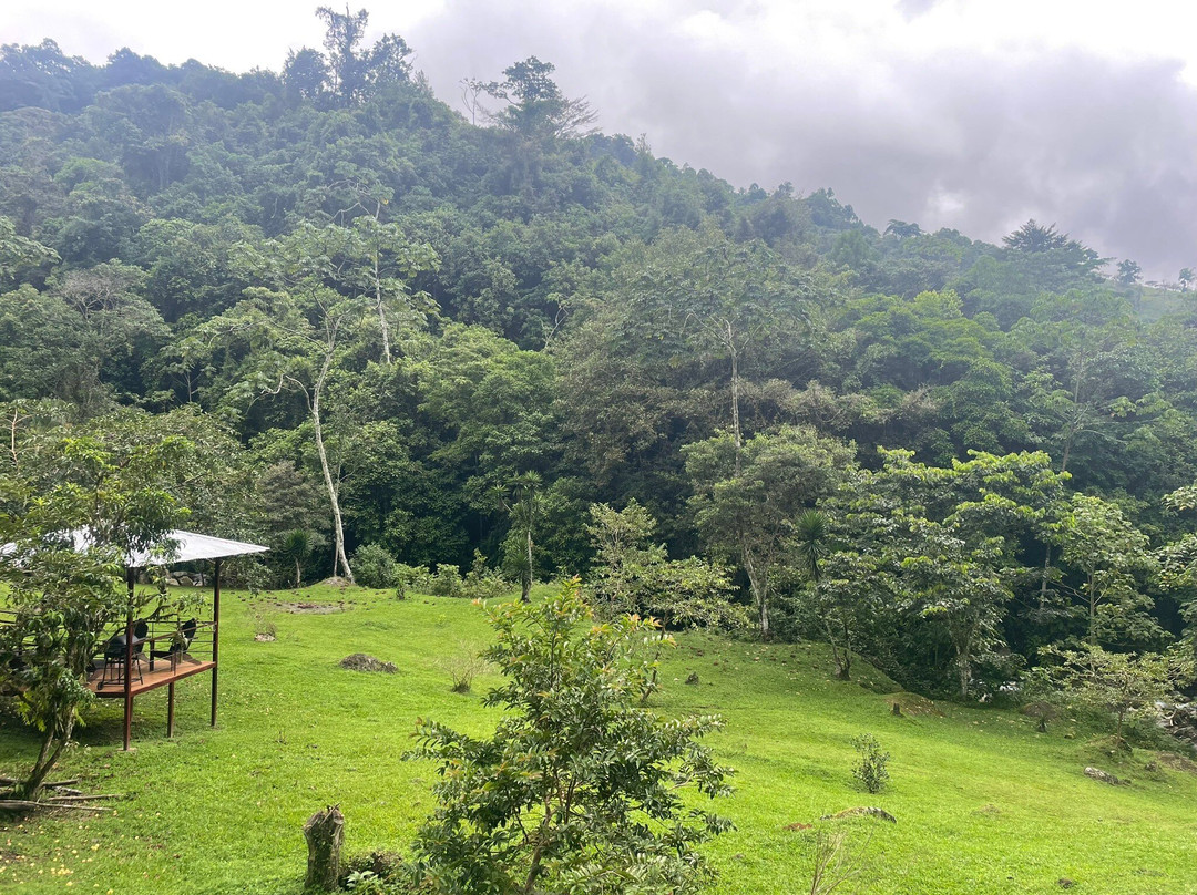 Hotel Rivel - Restaurant & Nature Retreat