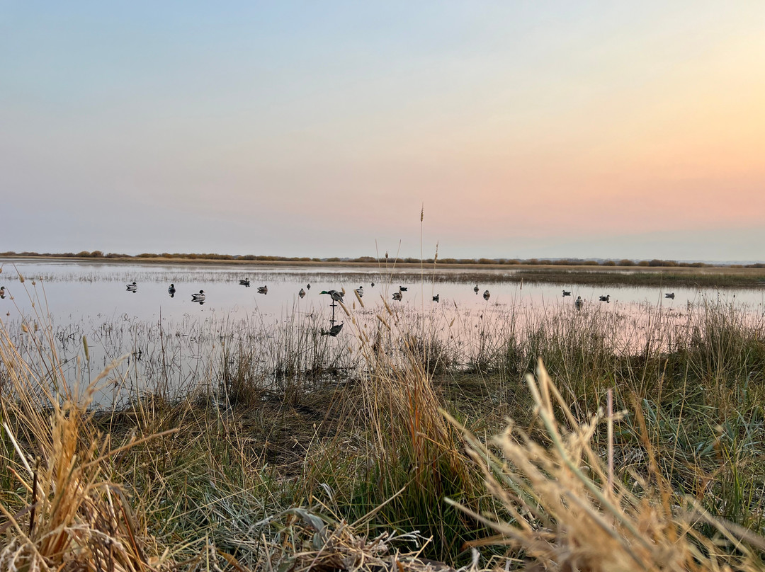 Teton Valley Lodge-德里格斯必去景点