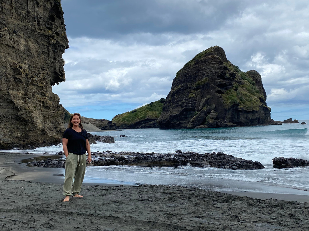 Piha Surf School-皮哈海滩必去景点
