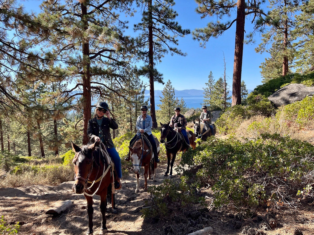 Zephyr Cove Stables-Zephyr Cove必去景点