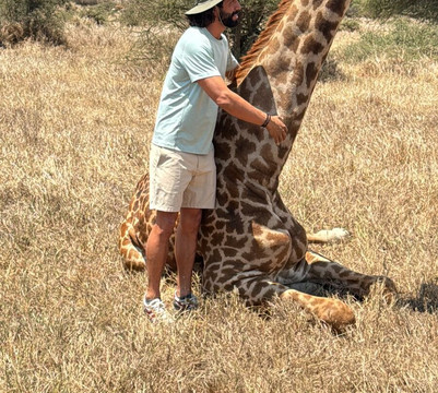Soke Safari-阿鲁沙必去景点