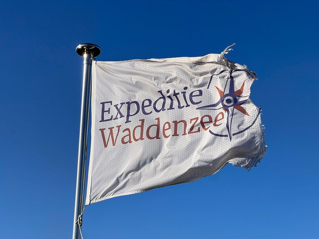 Expeditie Waddenzee景点图片