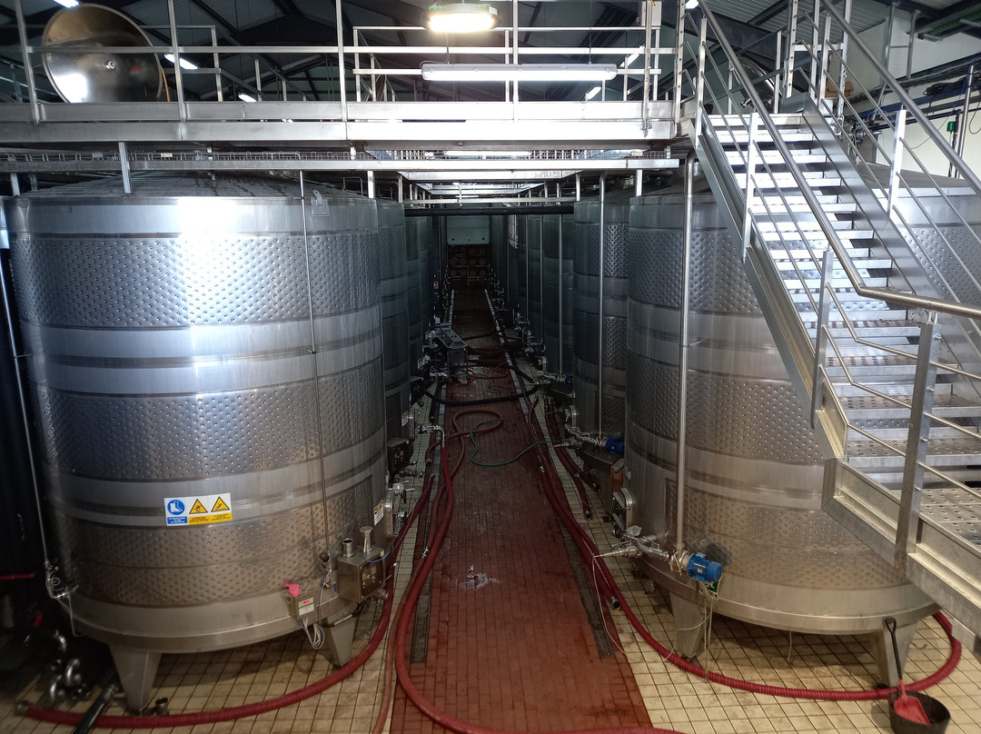 Bodega Hijos de Juan Gil-Jumilla必去景点