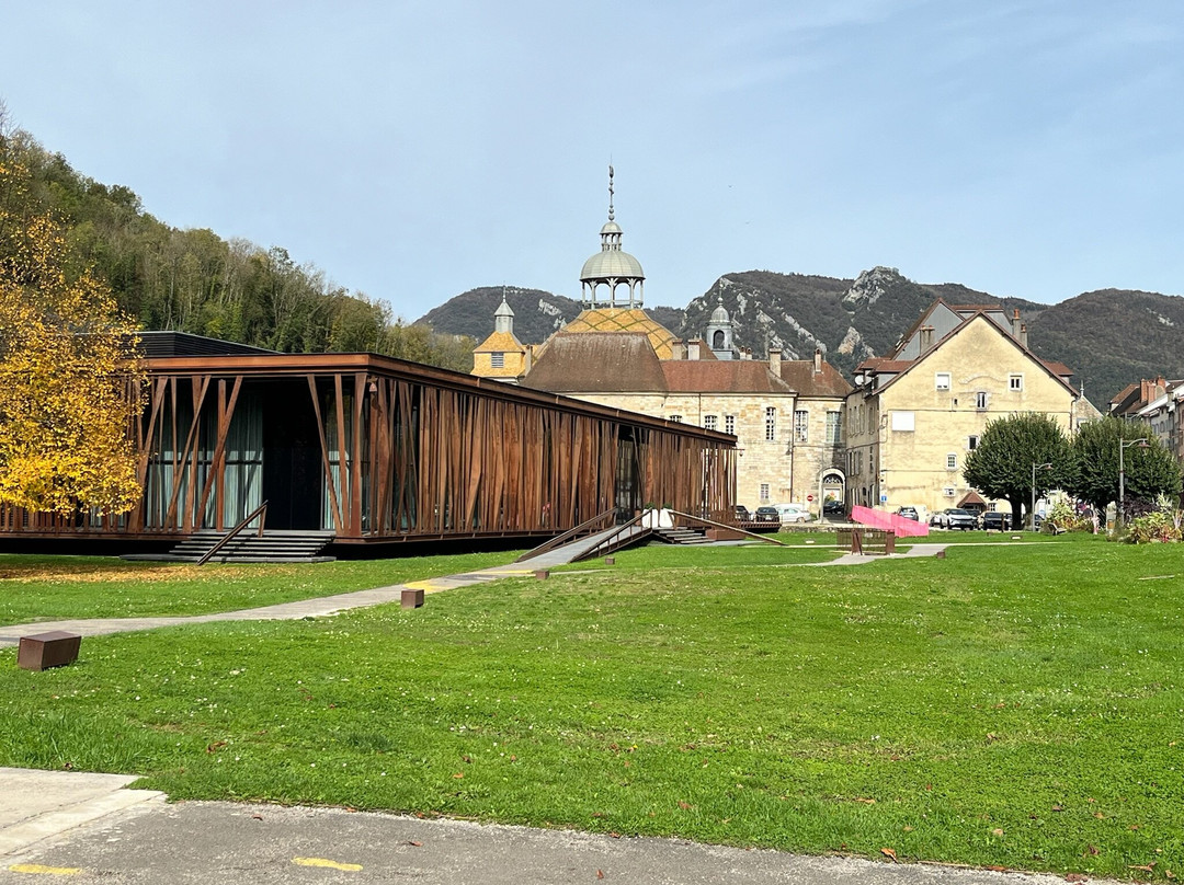 Chapelle Notre-Dame-Libératrice de Salins-les-Bains景点图片