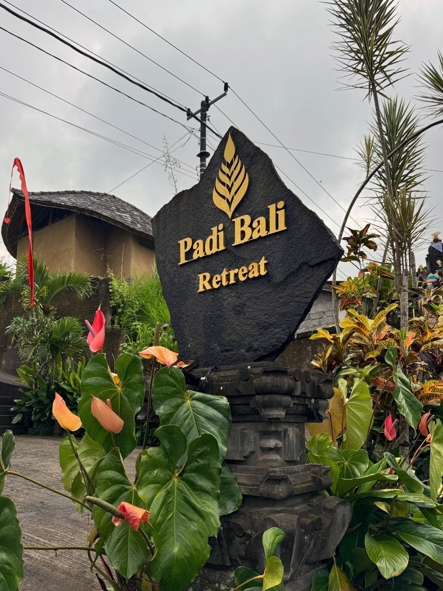 Padi Bali Ubud Eco Retreat-官方