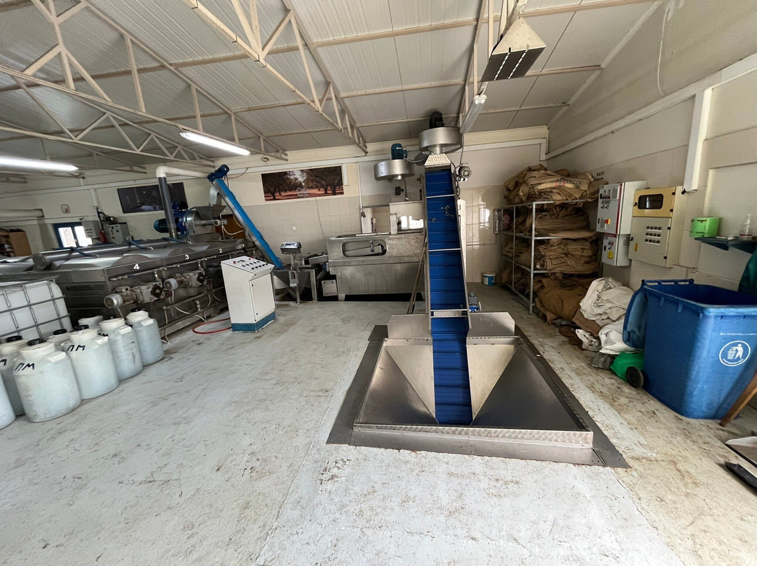 Markakis Olive Mill - Olive Oil-Chani Alexandrou必去景点