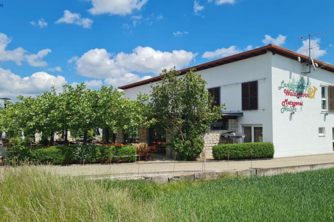 Langenau酒店住宿-Landgasthof Waldhorn