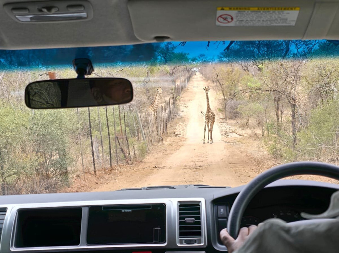 Oase By 7 Star Lodges主图