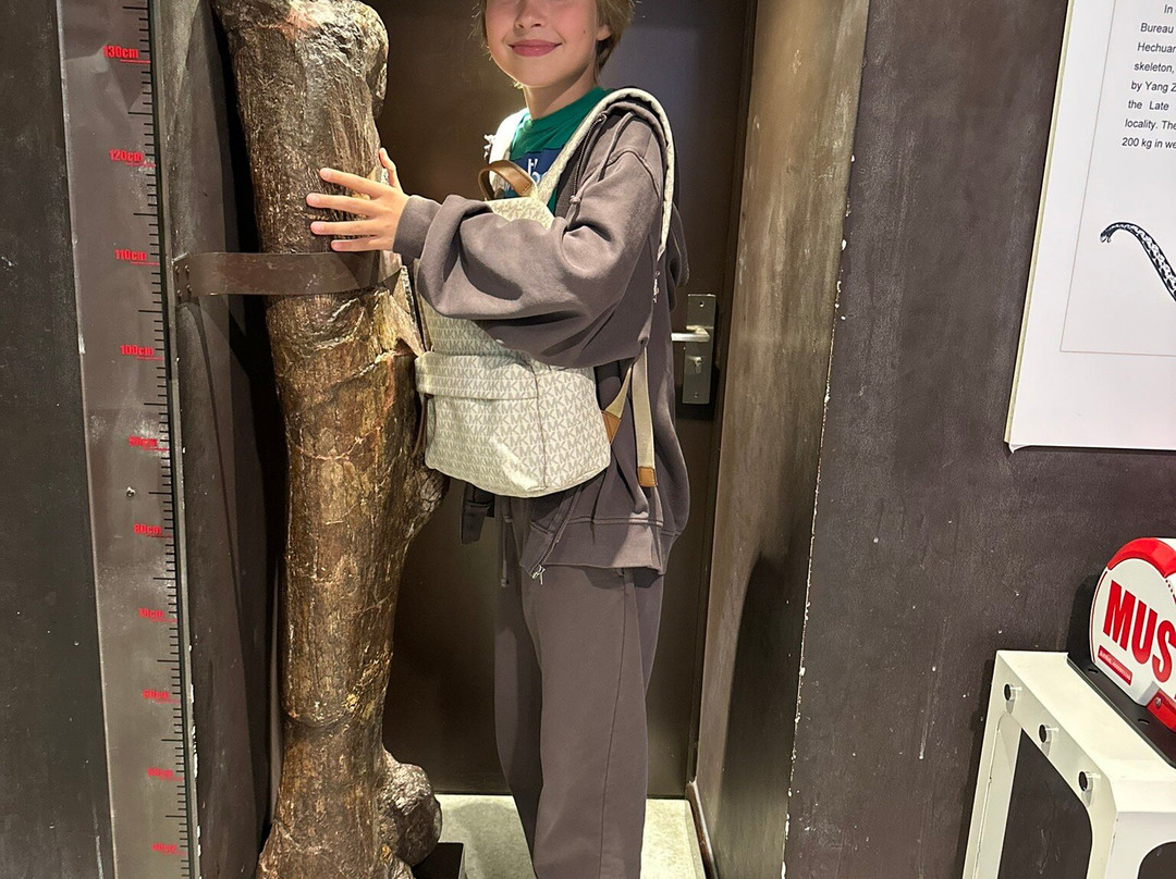 中国古动物馆-北京市必去景点