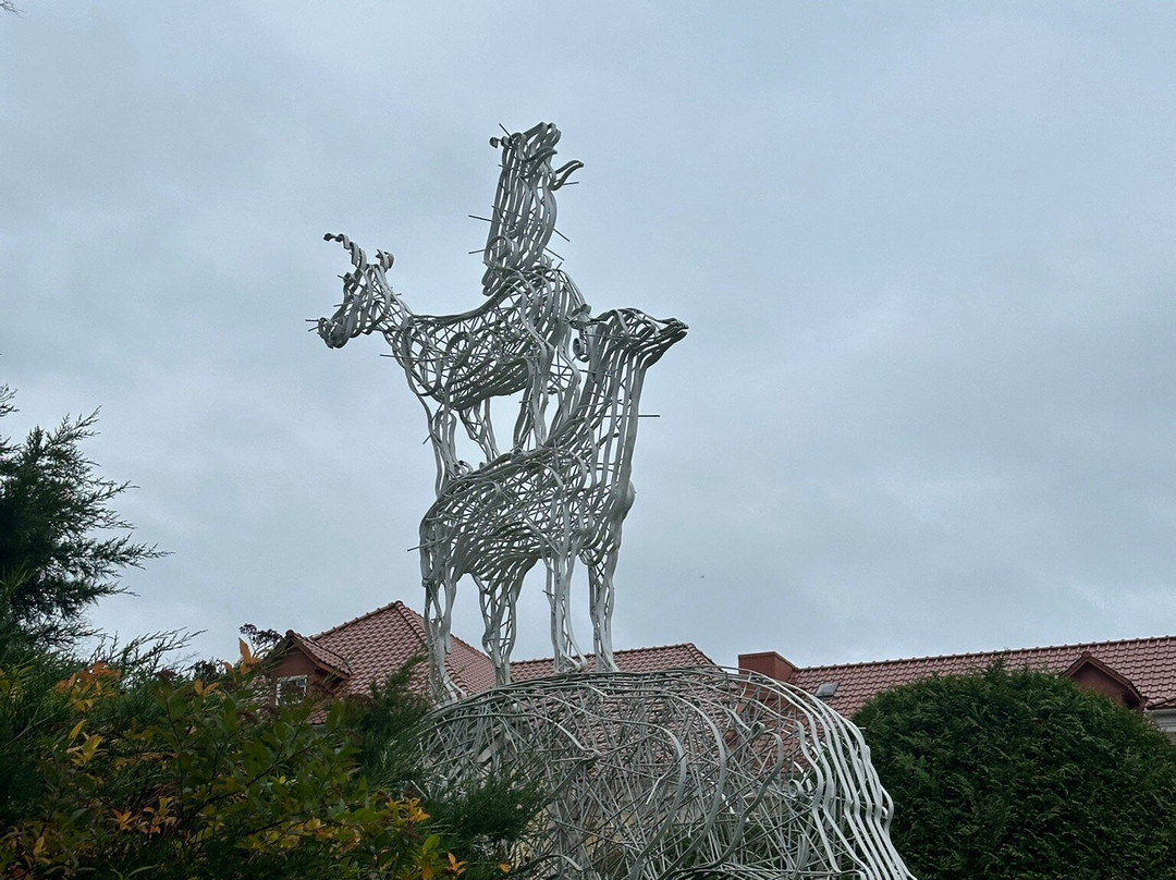 Kaliningrad Zoopark景点图片