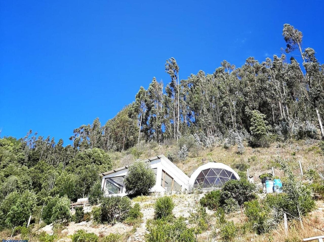 Glamping Nido Verde