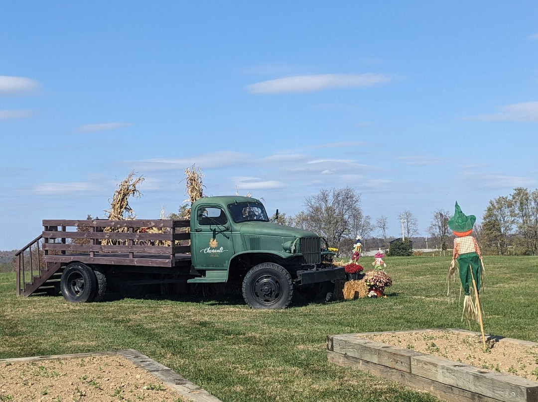 Chenault Vineyards-里士满必去景点