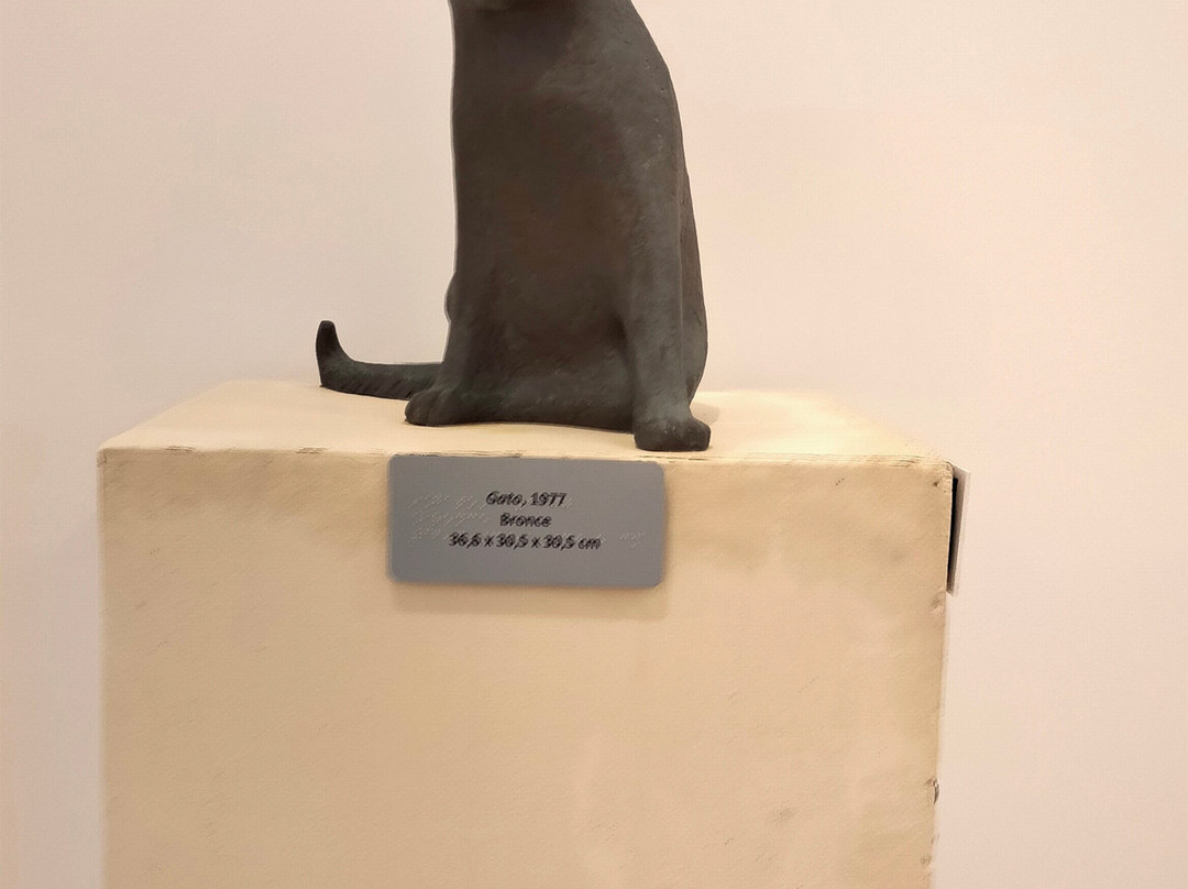 History Museum景点图片